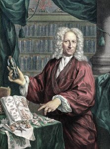 albertus seba