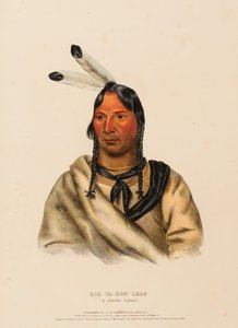 cheik ndoluvualu