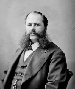 robert mcinnes