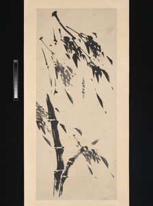 dapeng zhengkun