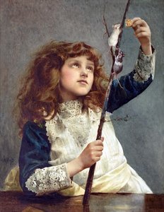 Alexander Mark Rossi