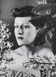 grete stern coppola