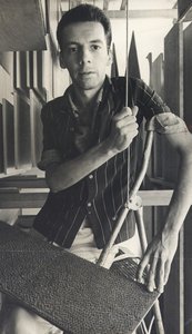 hélio oiticica