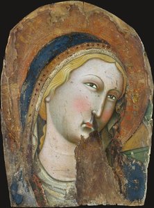 niccolò di buonaccorso