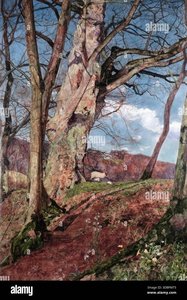 john william inchbold