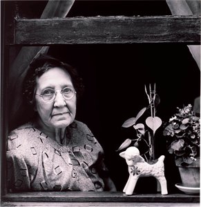 Harold Corsini