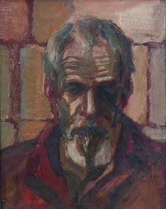 nikolay ivanovich andronov