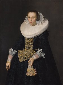 nicolaes eliaszoon pickenoy