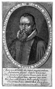 olaus wormius