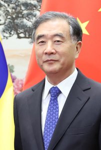 wang yu-yang