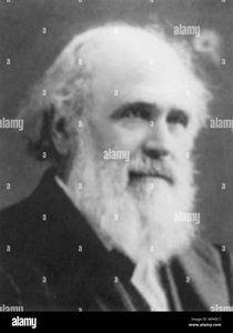 jerome b thompson