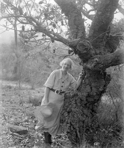 margaret rose preston