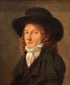 pierre henri révoil