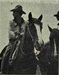 william penhallow henderson