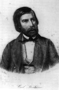 carl johann steinhäuser