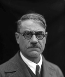 joaquim pedro vitorino ribeiro