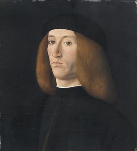 andrea solario