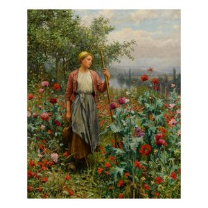 daniel ridgway knight