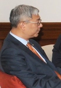 yin hong