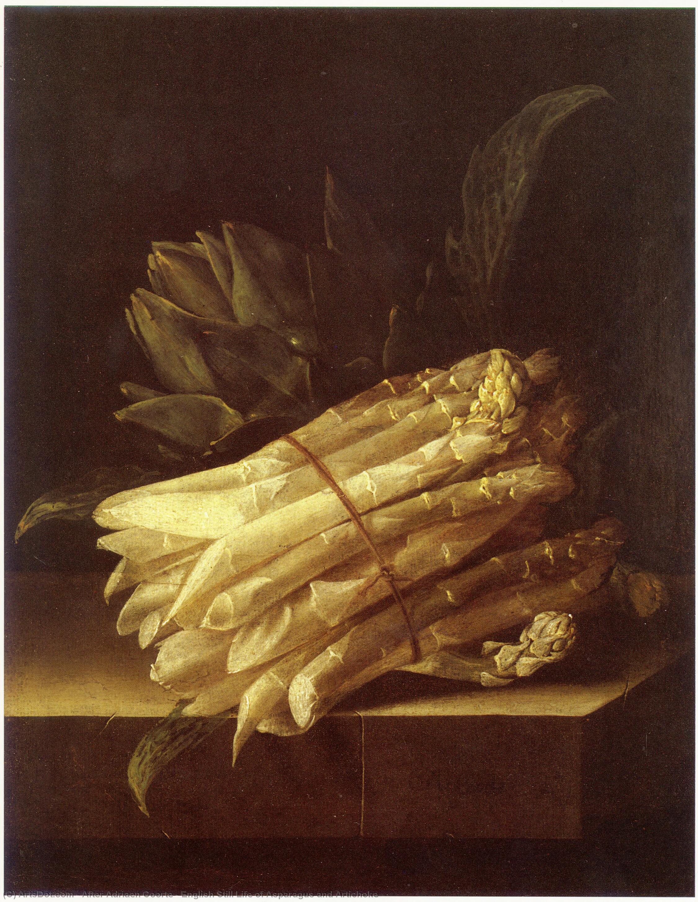 English Still Life Of Asparagus And Artichoke — Nach Adriaen Coorte