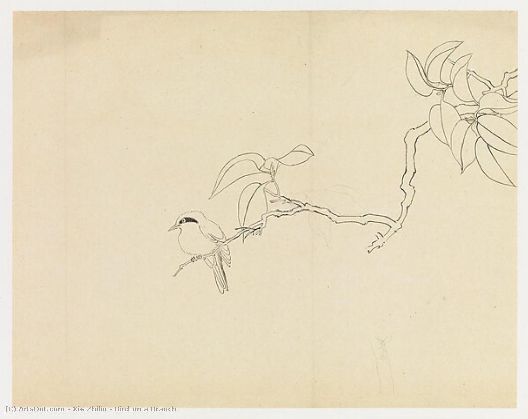 Bird On A Branch — Xie Zhiliu