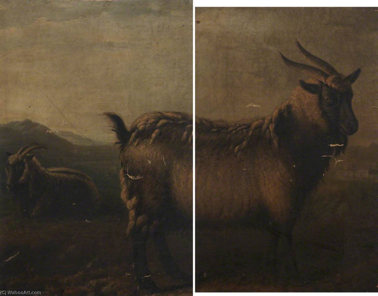 Brecon And Glamorgan Highland Goats (diptych) — William Shiels