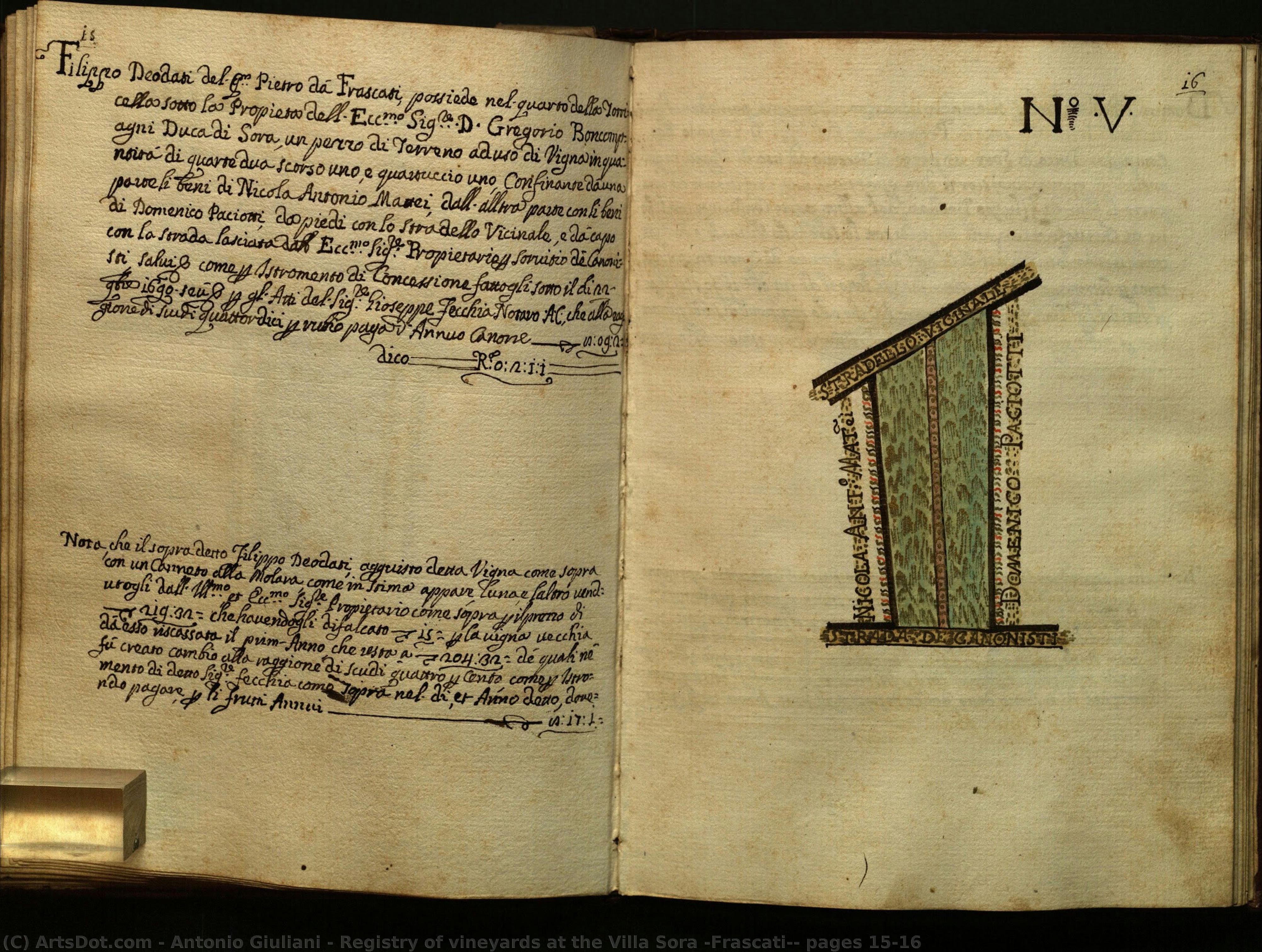 Registry Of Vineyards At The Villa Sora (frascati): Pages 15-16 — アントニオ・ジュリアーニ