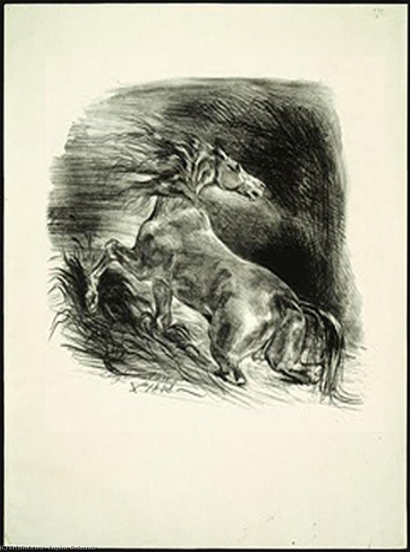 Wild Horse Coming Out Of The Water. Cheval Sauvage — Eugène Delacroix