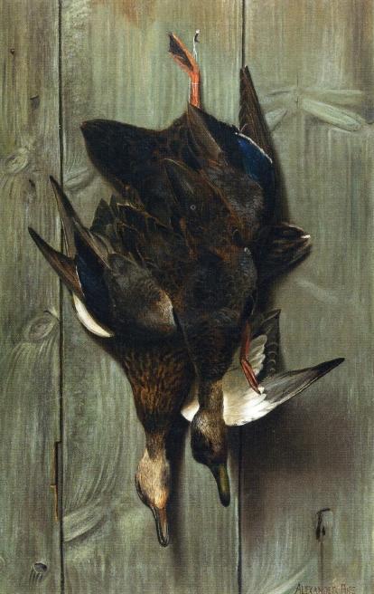 Hanging Ducks — Alexander Pope