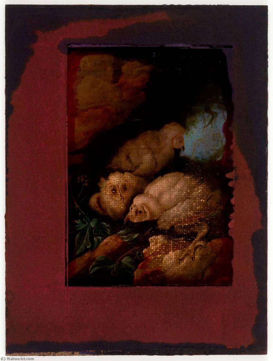 Untitled (audubon's American Snow Owls) — Joseph Cornell