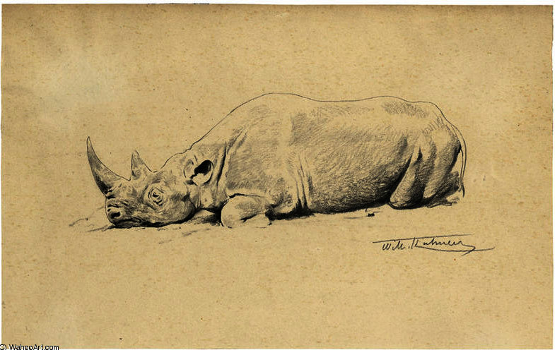 Ruhendes Nashorn — Fridrih Vilhelm Kunert