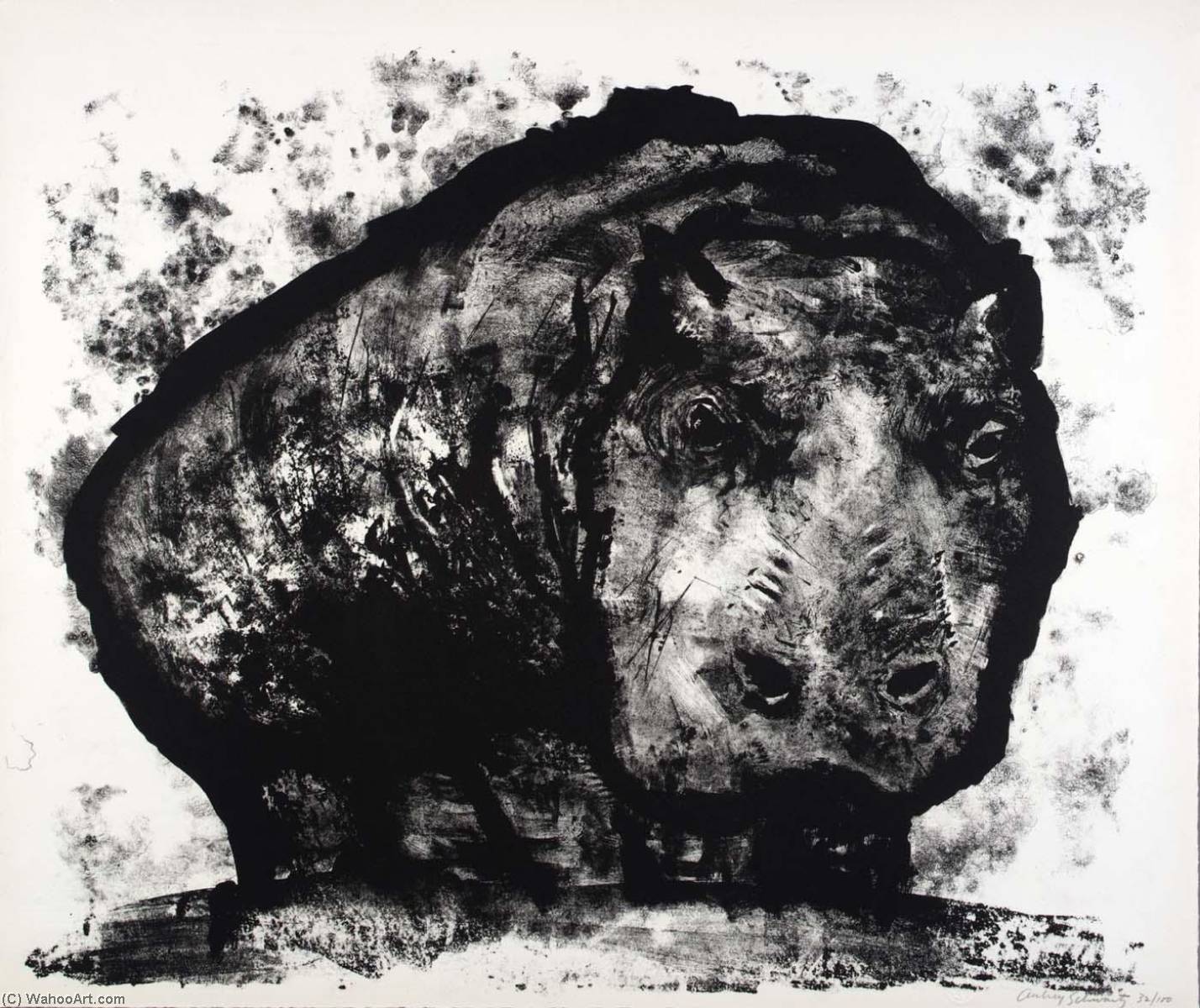 (a Bestiary, Portfolio) Hippopotamus — Aubrey Schwartz
