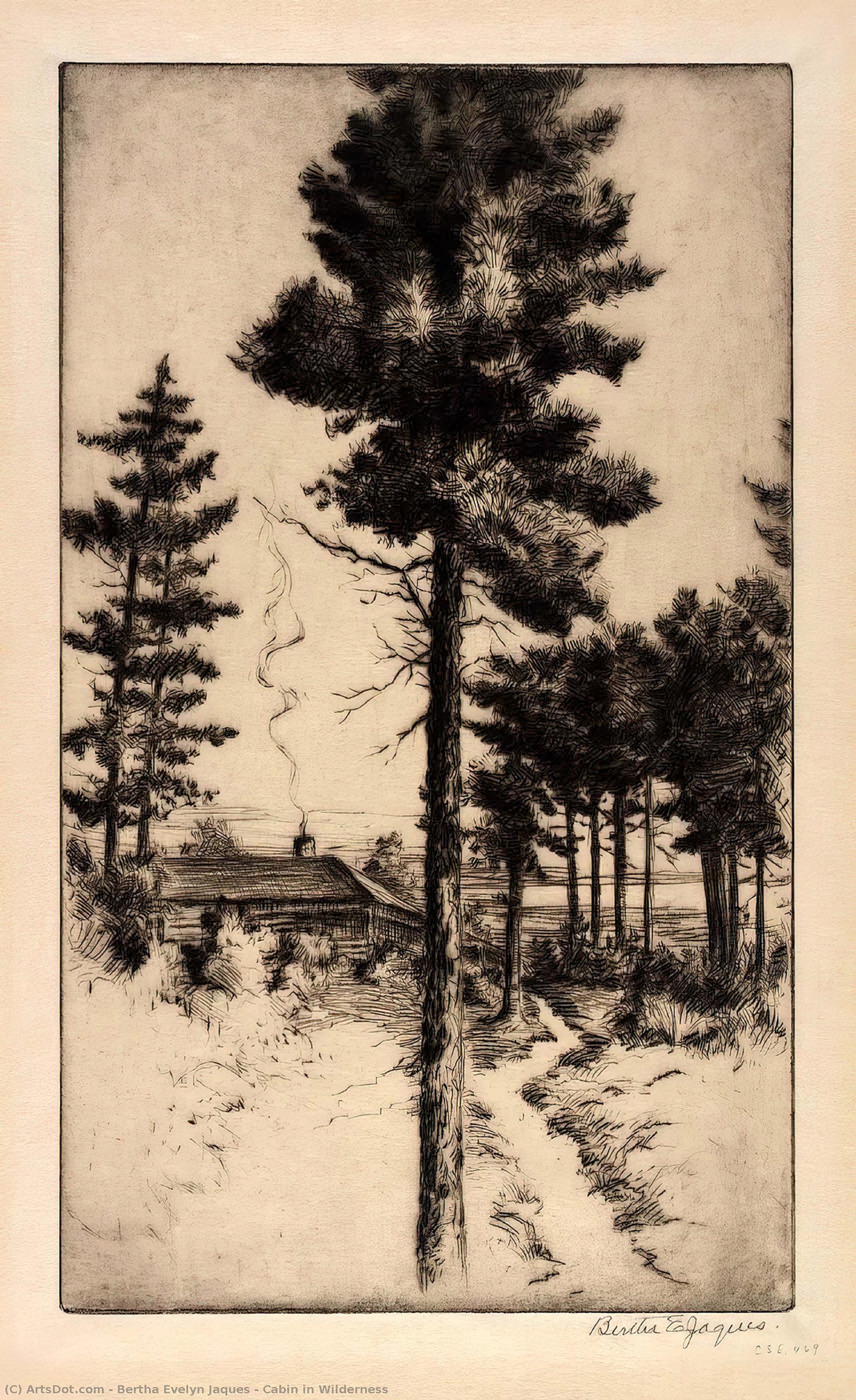 Cabin In Wilderness — Bertha Evelyn Jaques