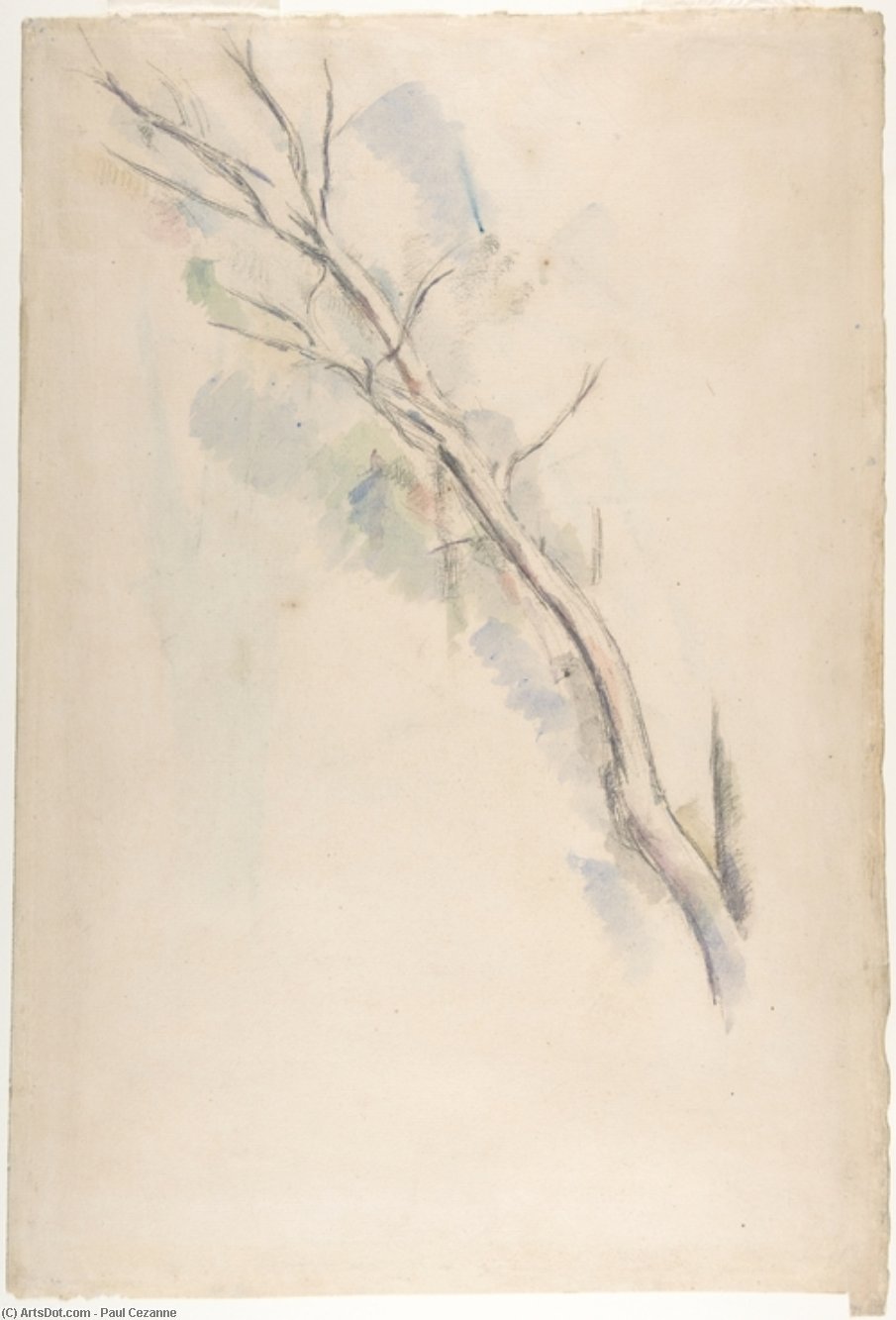 Studies Of A Tree — Поль Сезанн