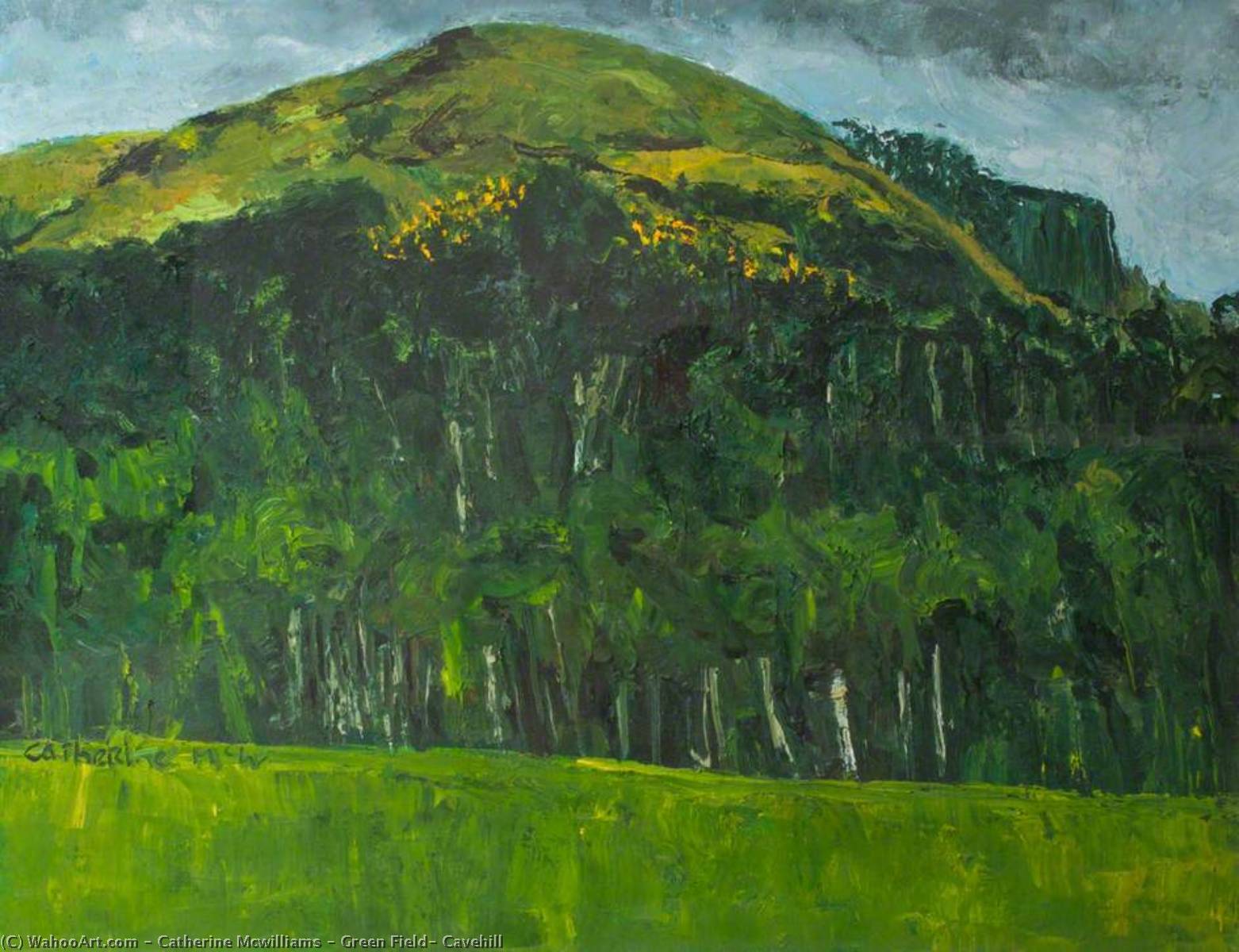 Green Field, Cavehill — Catherine Mcwilliams