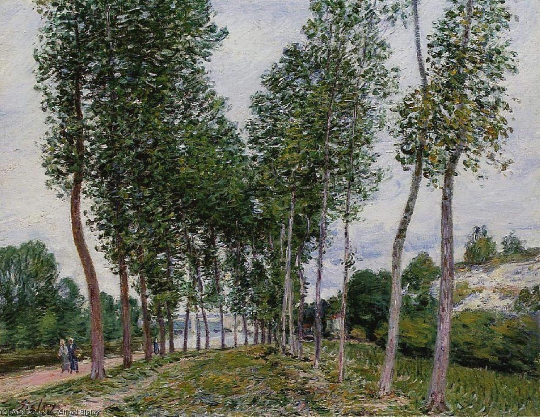 Lane Of Poplars On The Banks Of The Loing — Alfred Sisley