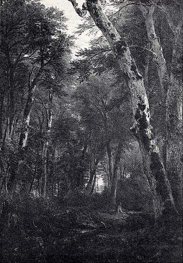 Woodland Interior, (painting) — Asher Brown Durand