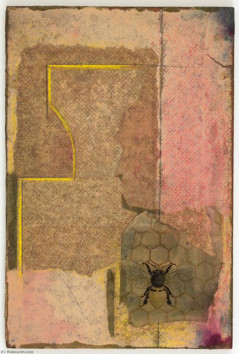Untitled (illustration Of Bee Against Honeycomb) — Joseph Cornell