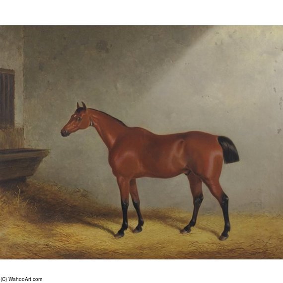 Portrait Of The Hunter Dolla Aged 17 Years In A Loose Box — William Barraud