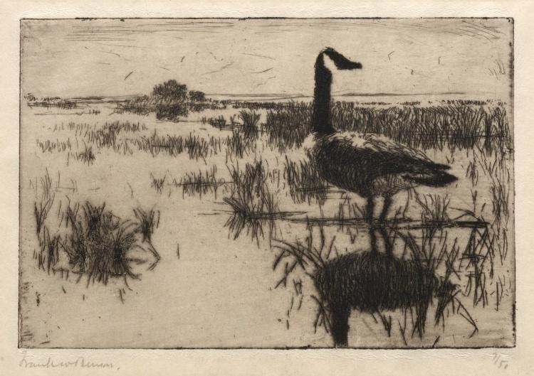 Lone Goose — Фрэнк Вестон Бэнсон