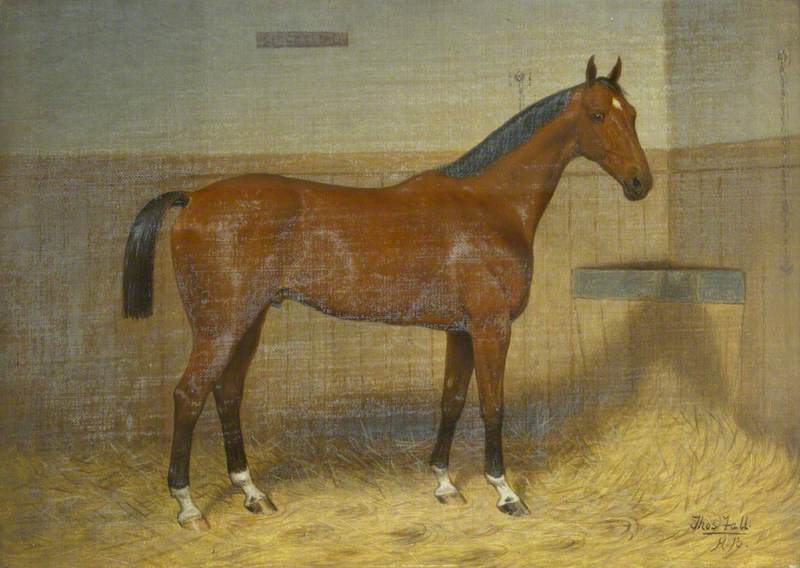 'circassion', A Hunter In A Stable — Thomas Hall