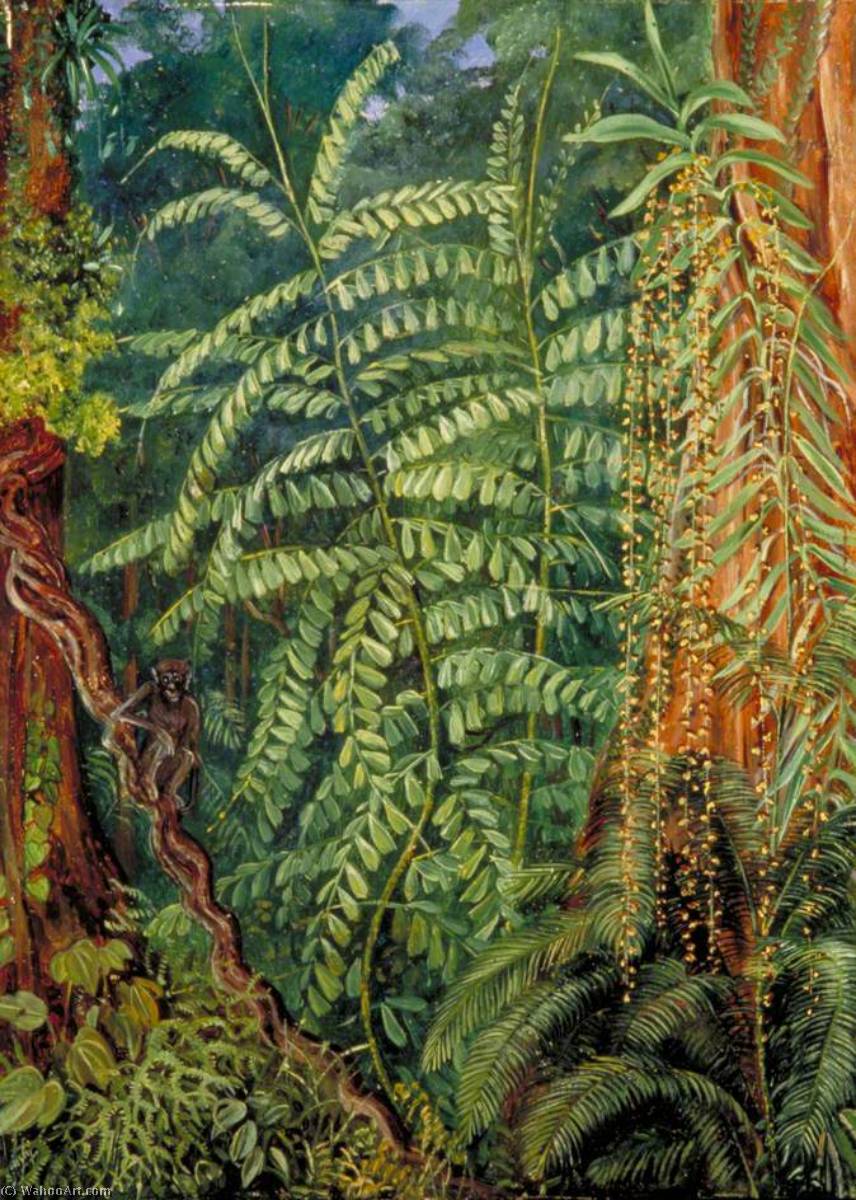 Vegetation And Ourang Outang In Forest Of Mattanga, Borneo — Marianne North