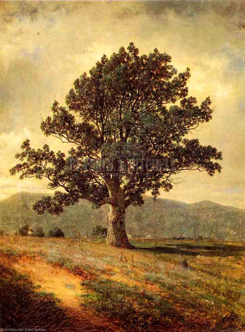 Joyceville, Connecticut — Dejvid Džonson