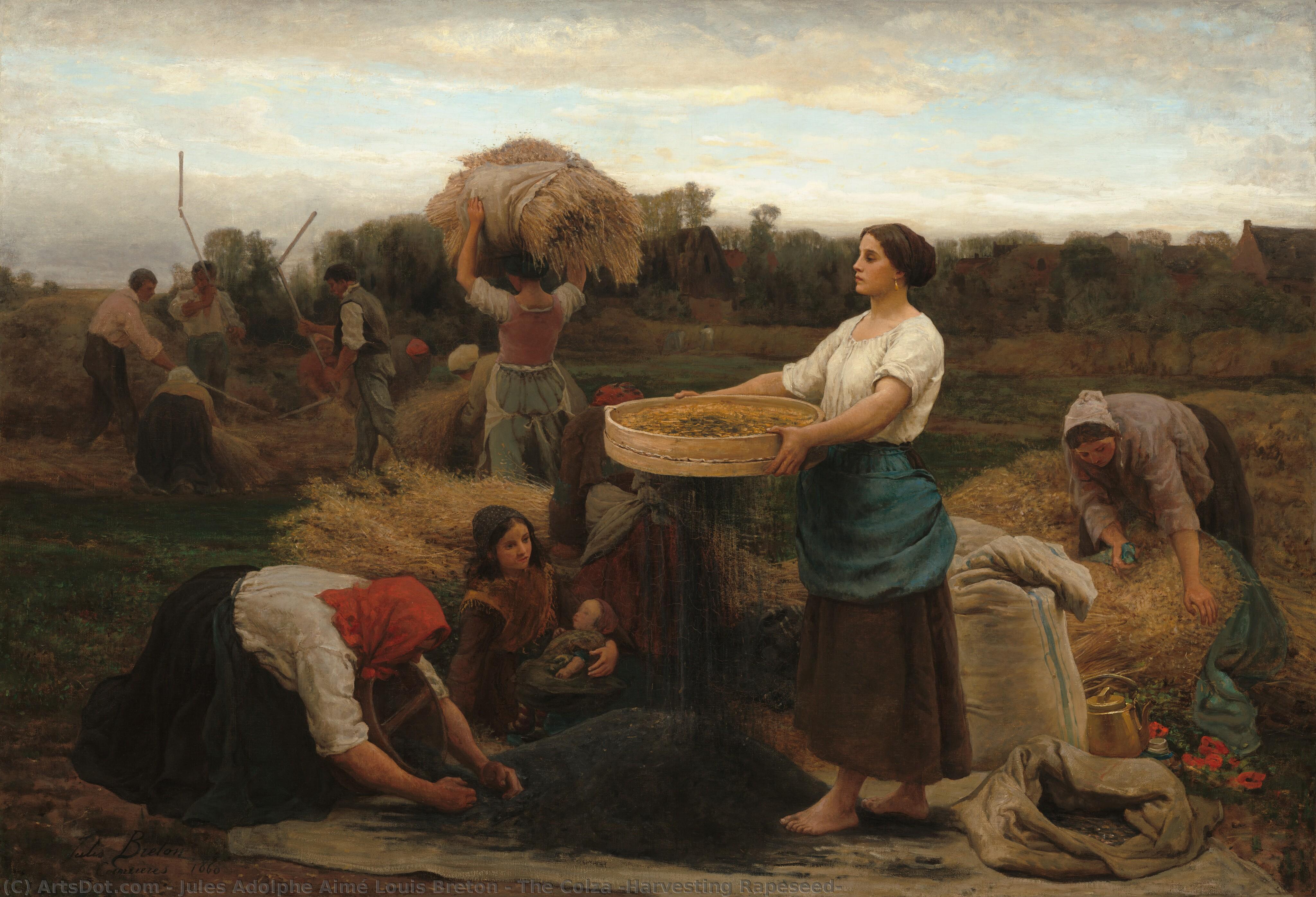 The Colza (harvesting Rapeseed) — Jules Breton