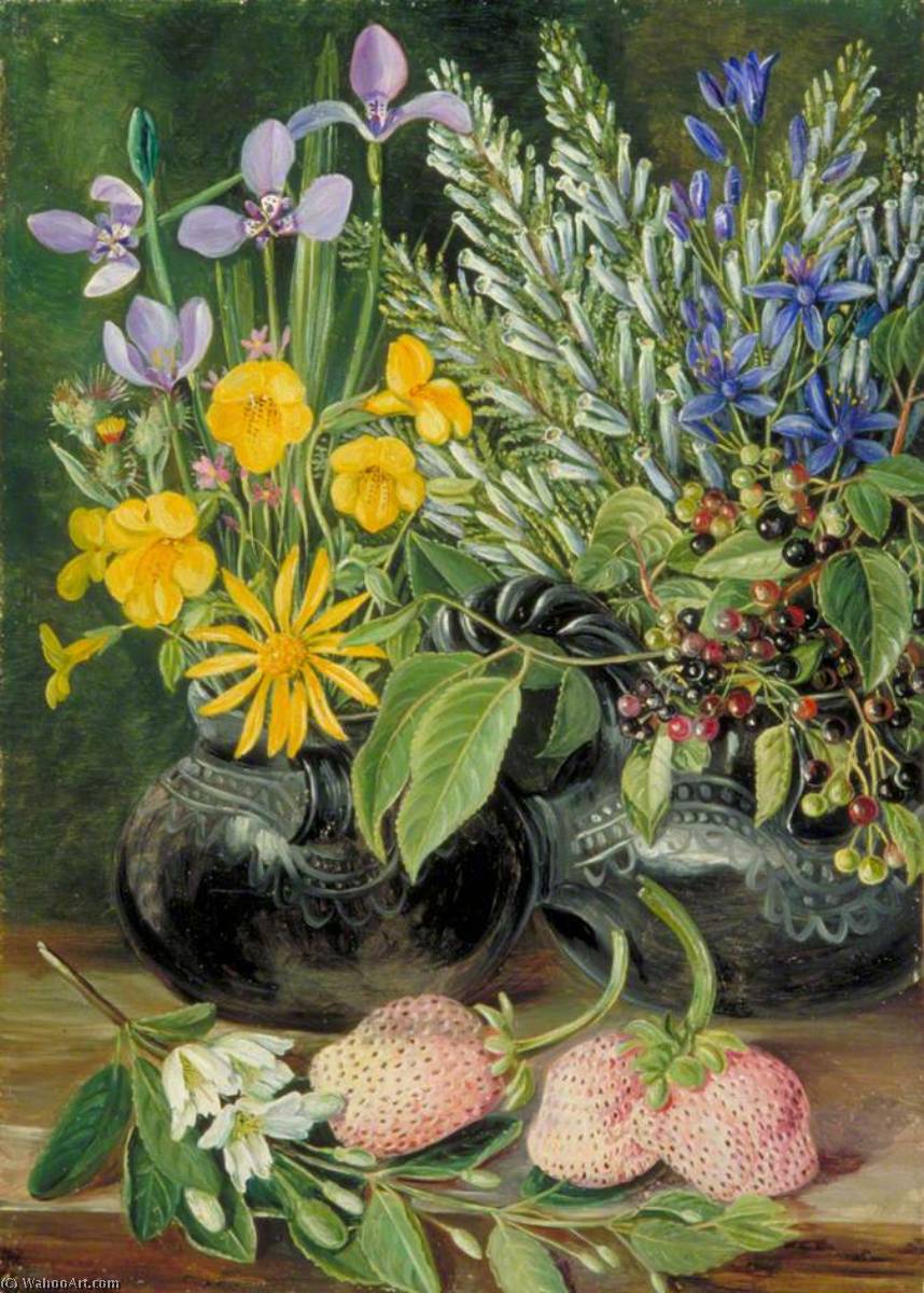 Chilenische Blumen In Doppelten Maté-bechern Und Chilenische Erdbeeren — Marianne North