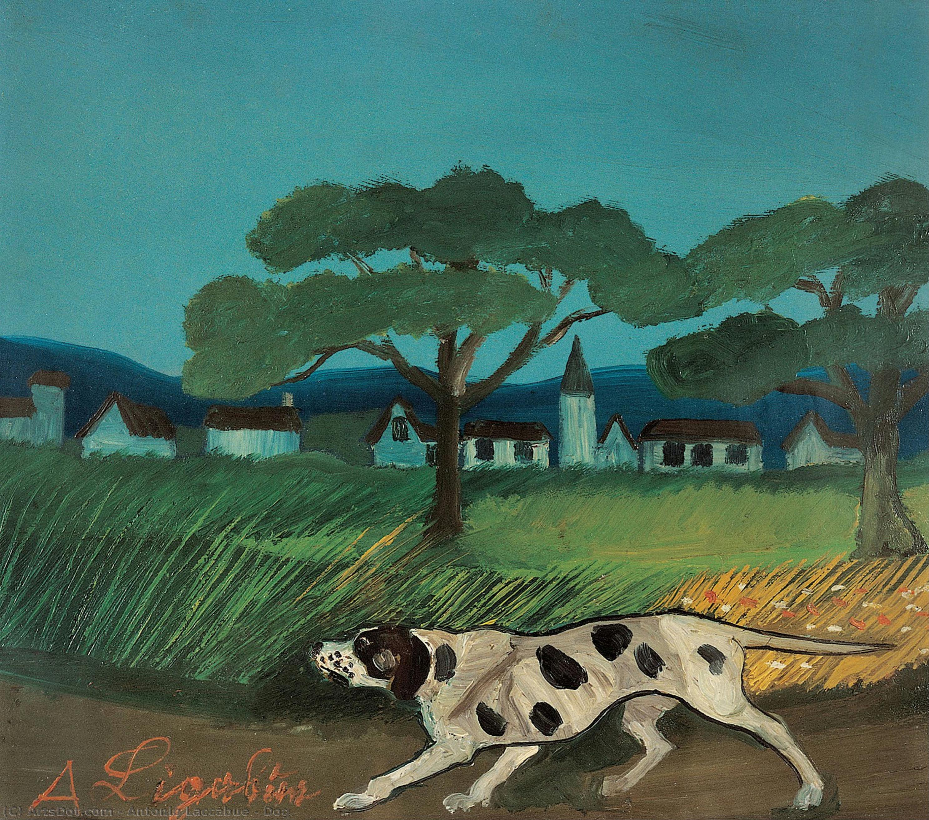 Dog — Antonio Laccabue