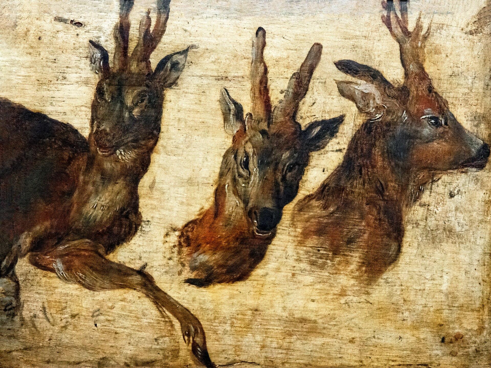 Roebucks Heads — Ян Брейгель Старший