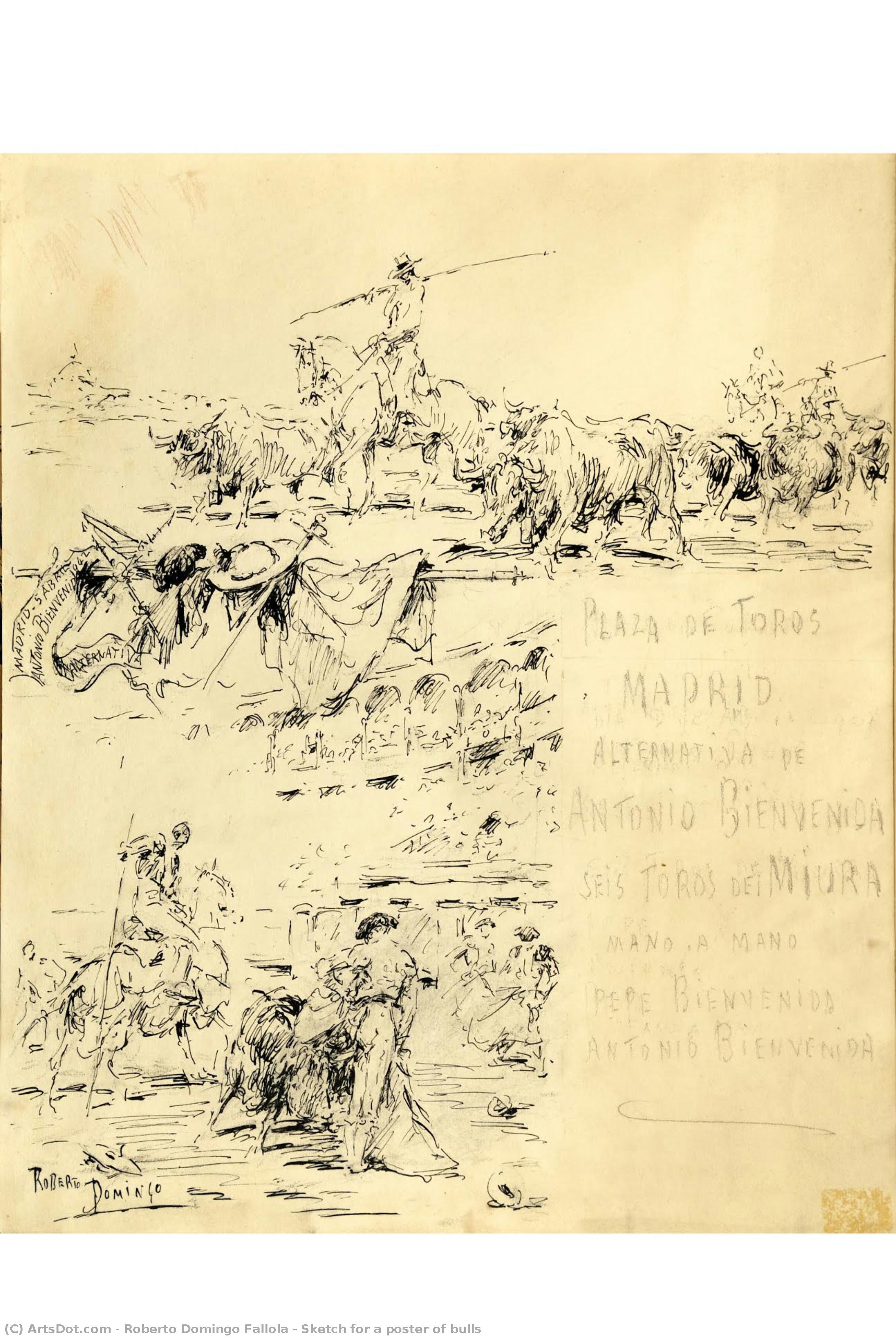 Sketch For A Poster Of Bulls — Roberto Domingo Fallola
