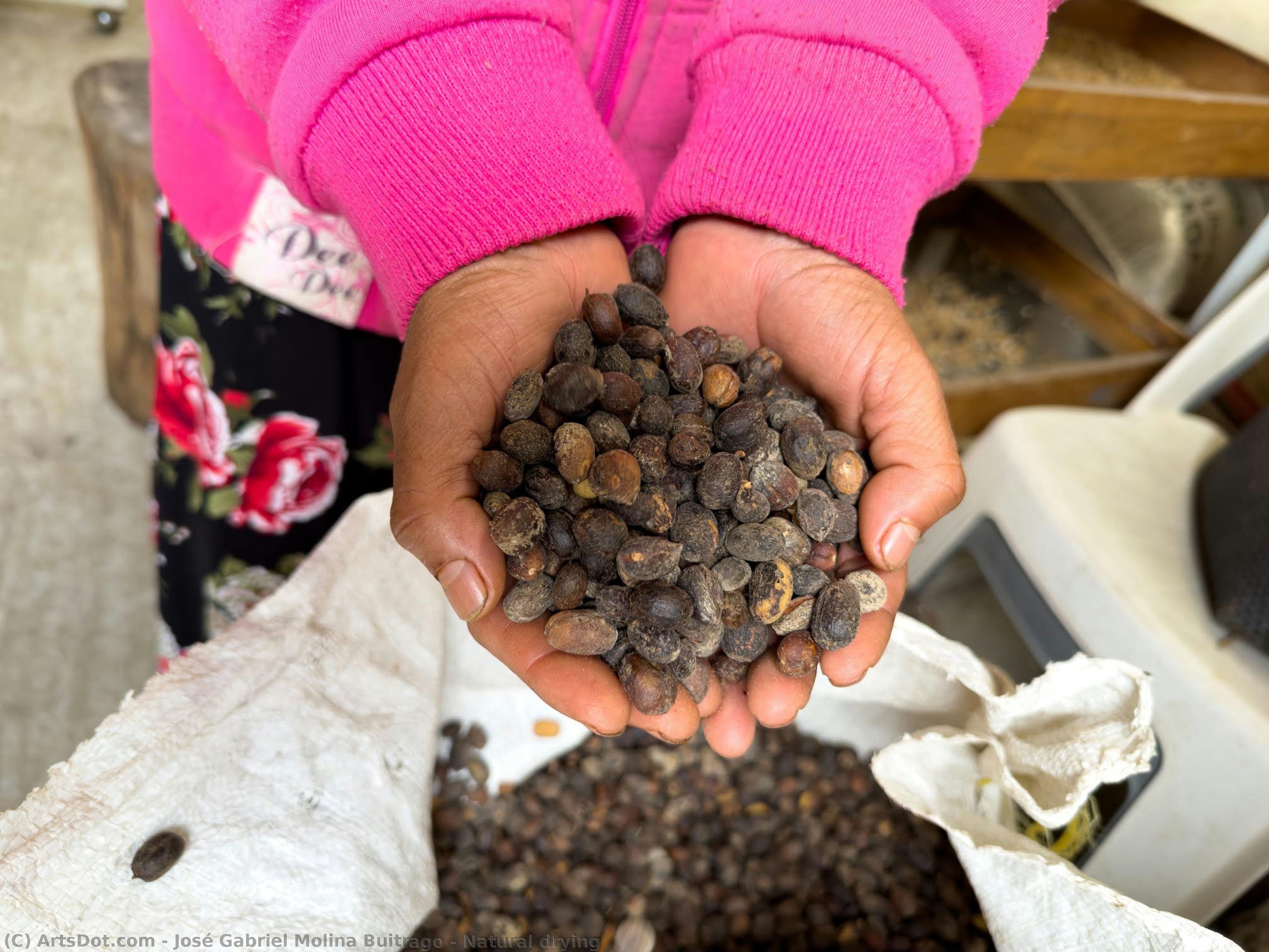 Natural Drying — José Gabriel Molina Buitrago