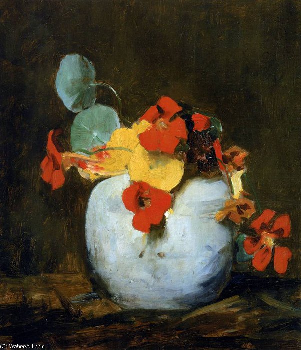 Floris East Indian Cherry In Pot Sun — Pieter Florentius Nicolaas Jacobus Arntzenius